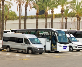 Simplify Logistics with Car Transfer Solutions